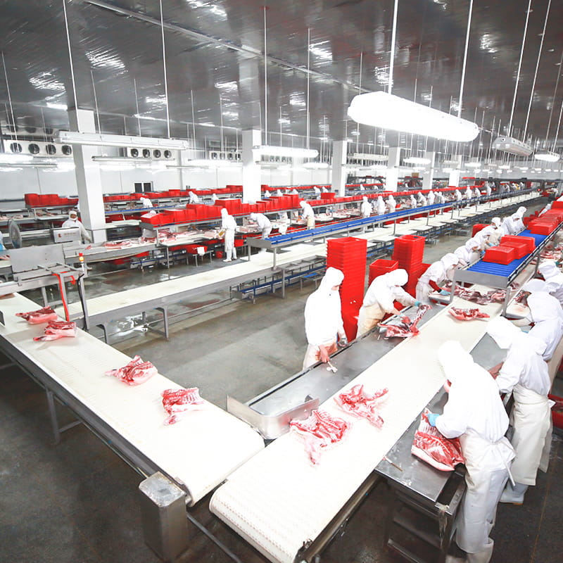 Solusi pemotongan babi dan deboning